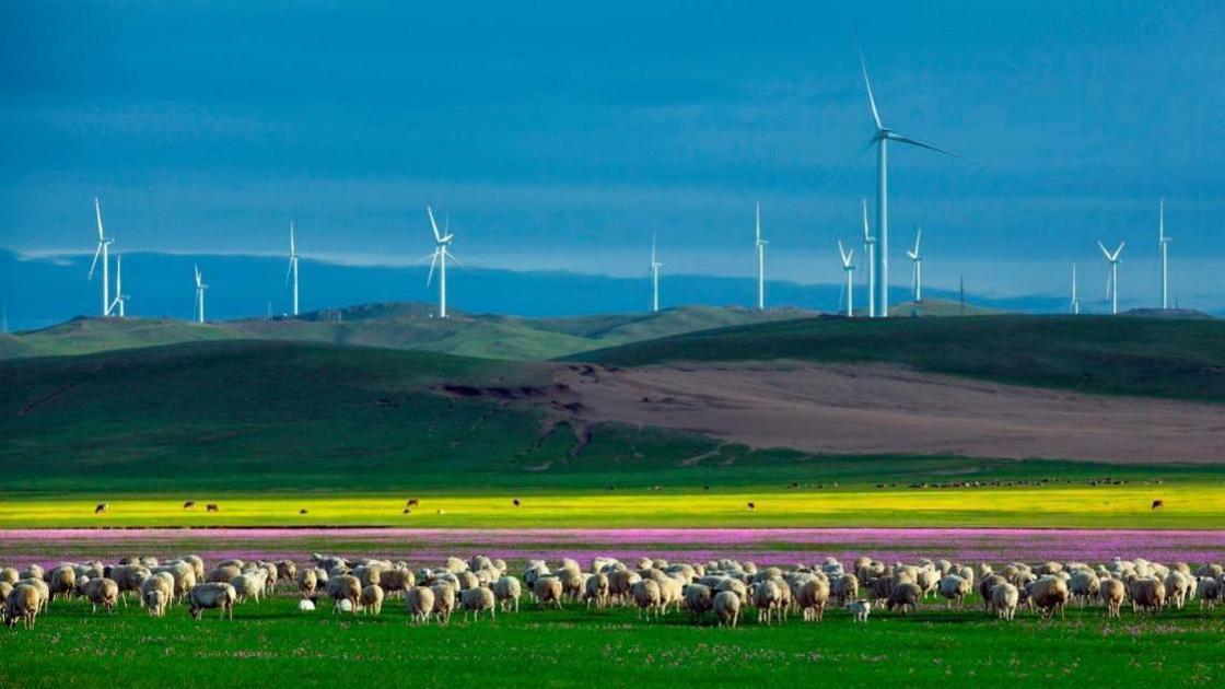 内蒙古独特风味探寻之旅，小巷中的美食秘境
