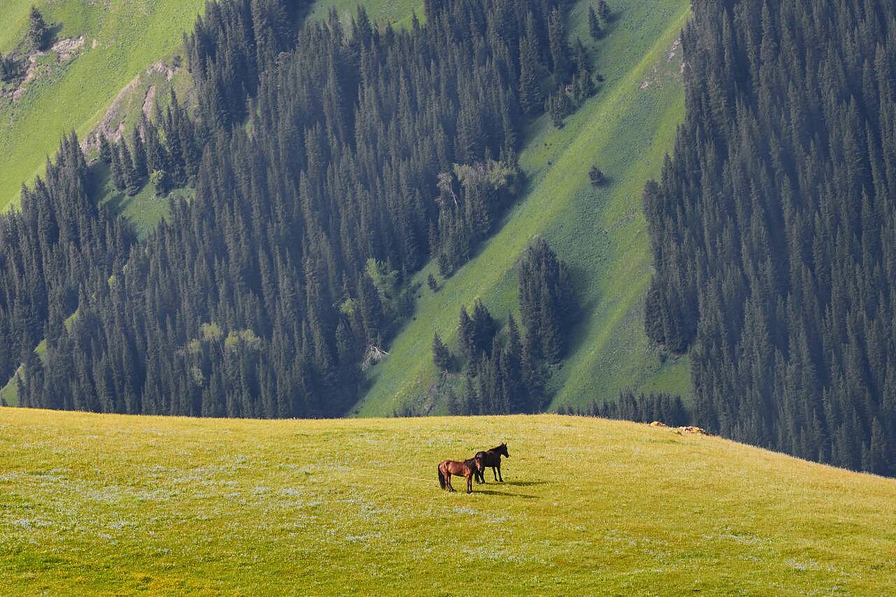 新疆，魅力新疆，诗意画卷🌿🏔️